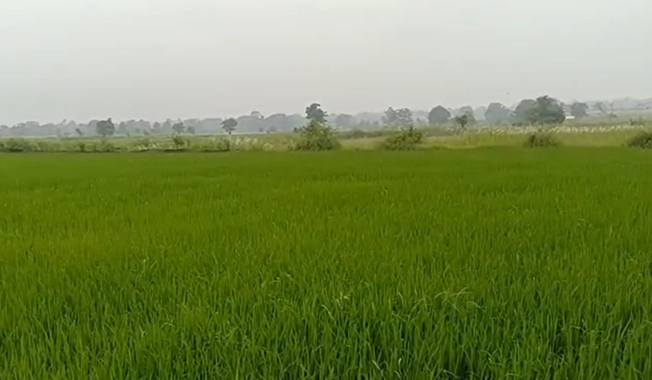 Ghusiya Mal., Dindori, Madhya Pradesh 481879, India