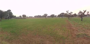 Dhodhsar, Rajasthan 303712, India preview 2