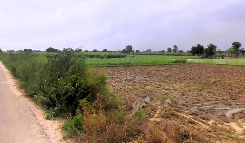 Jassia, Haryana 124303, India preview 2