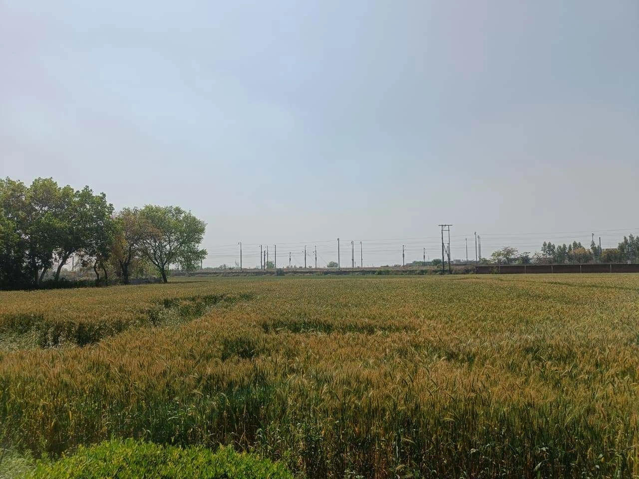 Narayanpur, Rajasthan 301024, India