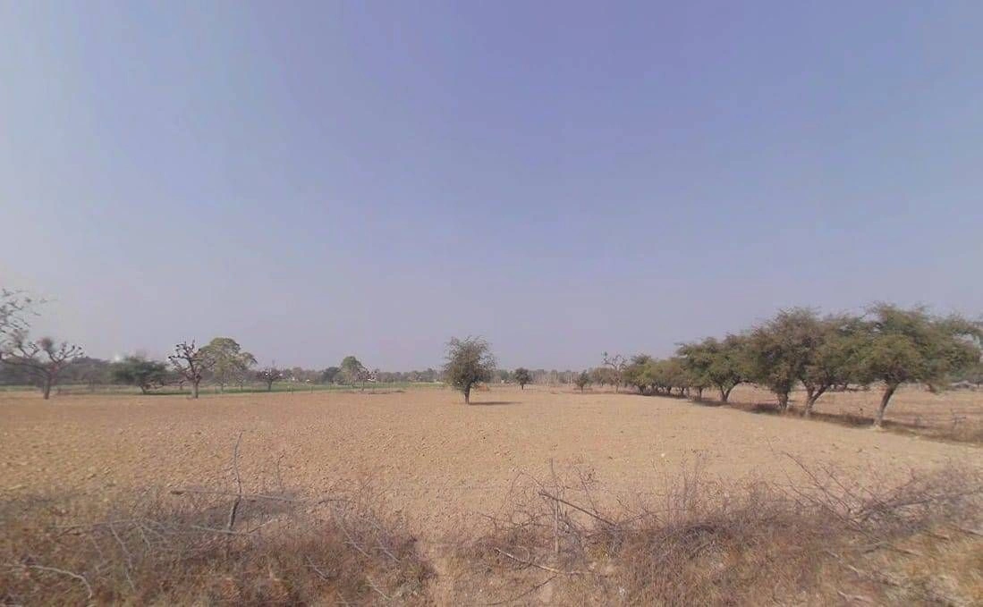 Khachariawas, Rajasthan 332710, India