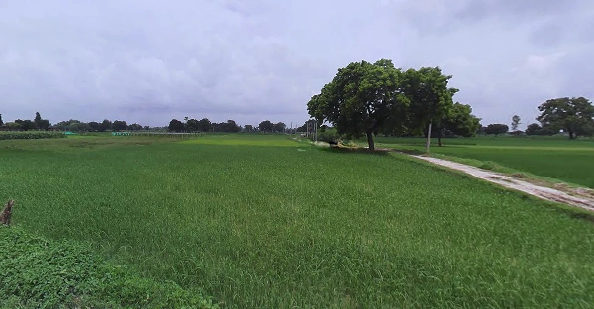 Jewar, Uttar Pradesh 203135, India