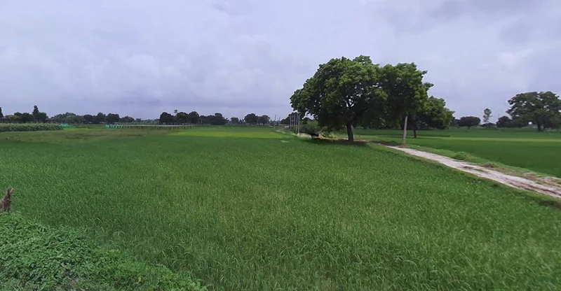 Jewar, Uttar Pradesh 203135, India preview 2