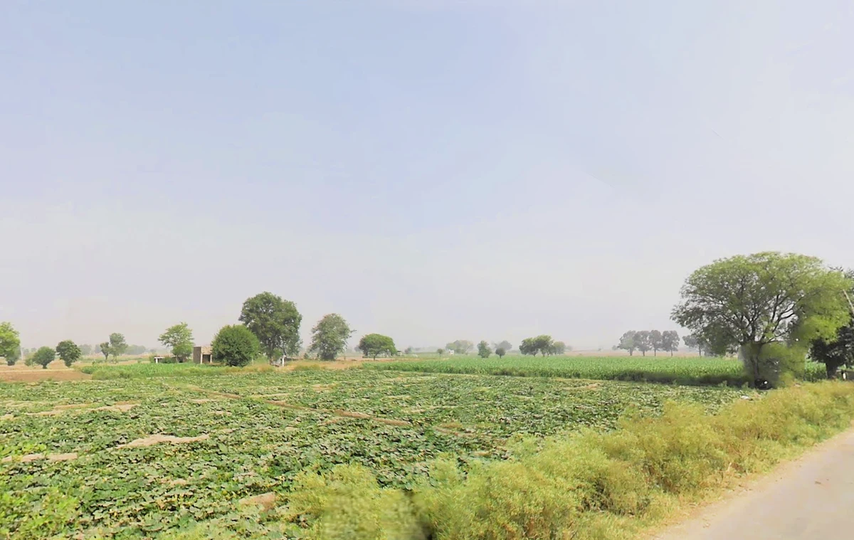 Murthal, Haryana, India