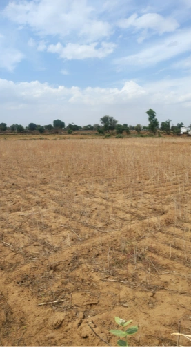 9PHJ+CH Nangal Todiyar, Alwar, Rajasthan, India