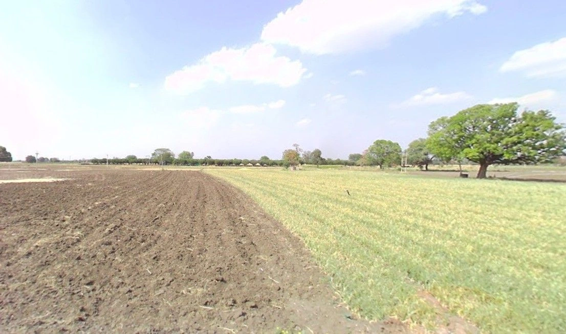 Bilkisganj, Madhya Pradesh 466111, India