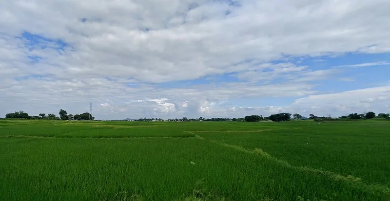 Sukurhutu, Jharkhand 834006, India preview 2