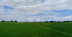 Sukurhutu, Jharkhand 834006, India preview 2