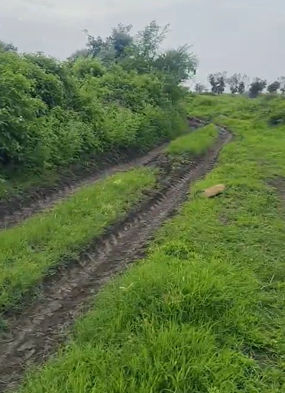 F375+M95, Hoshiarpur, Bachhohi, Punjab 146102, India - Photo 2