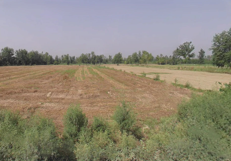 Harthala, Moradabad, Uttar Pradesh, India