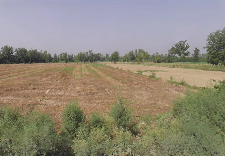 Harthala, Moradabad, Uttar Pradesh, India