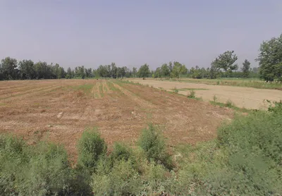 Harthala, Moradabad, Uttar Pradesh, India preview 2