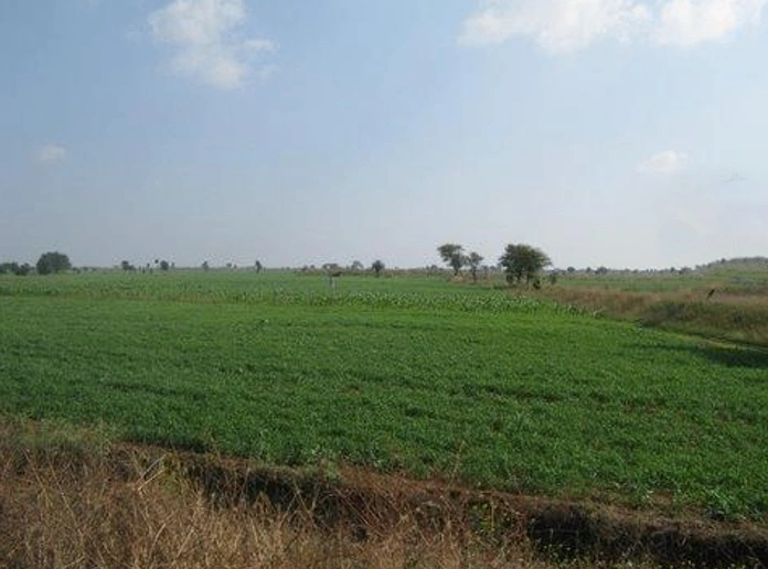 Barnagar, Madhya Pradesh 456771, India