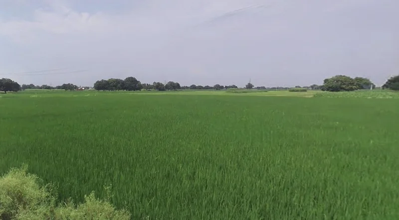 Karwi, Uttar Pradesh 210205, India preview 2