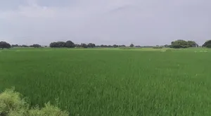 Karwi, Uttar Pradesh 210205, India preview 2