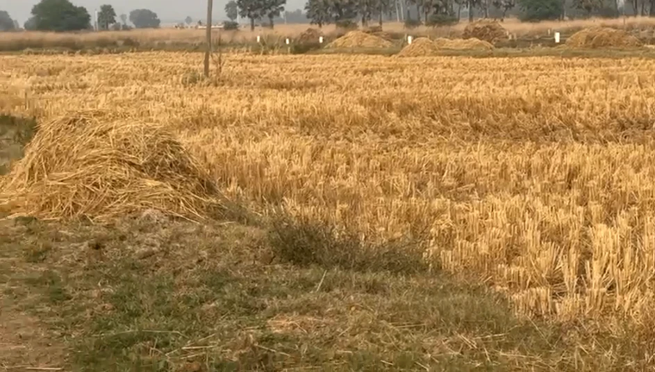 Baruna, Bihar, India