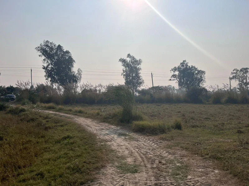 Sohna, Haryana 122103, India preview 3