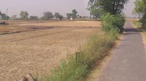 Rura, Uttar Pradesh 209303, India preview 3