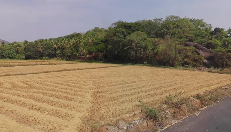 Vadakkencherry, Kerala, India preview 3