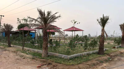 QMP4+HC Bahata Bangar, Mathura, Uttar Pradesh, India preview 2