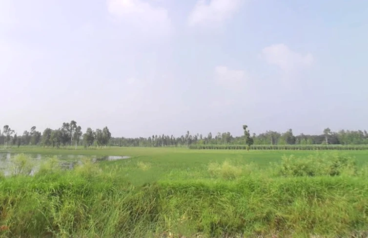 Behat, Uttar Pradesh 247121, India