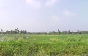 Behat, Uttar Pradesh 247121, India preview 3