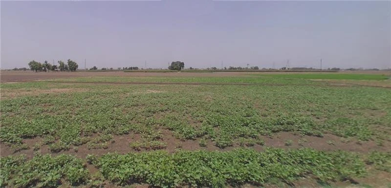 Chamyari, Punjab 143103, India