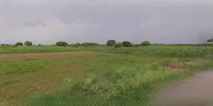 Unnao, Uttar Pradesh, India preview 2