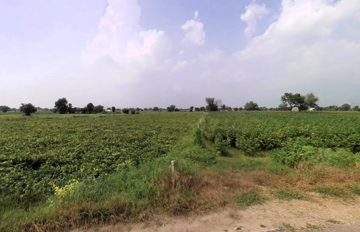 Siwani, Haryana 127046, India