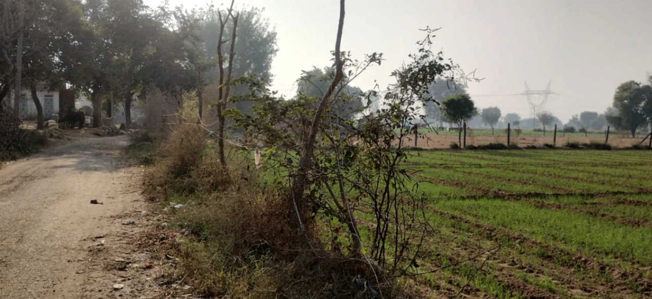 Bahadarke, Punjab 141008, India