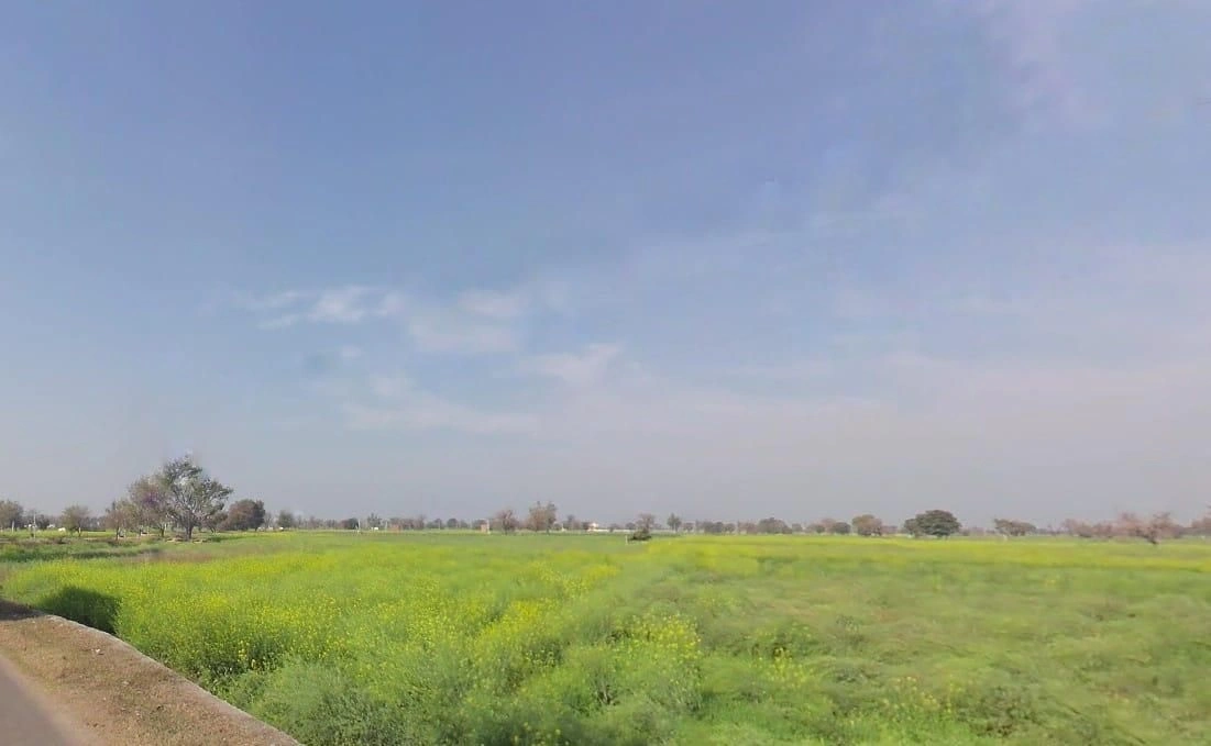 Jawli, Rajasthan 321607, India preview 3