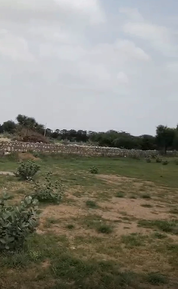 Q84P+6QG, Jaipur, Palu Kalan, Rajasthan 303348, India