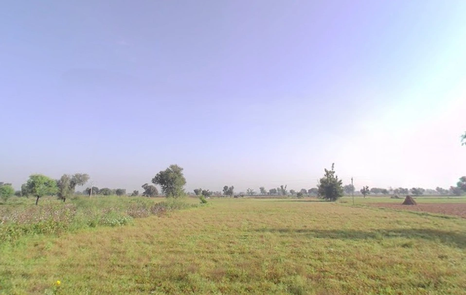 Barodameo, Rajasthan 301021, India