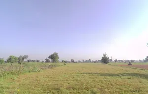 Barodameo, Rajasthan 301021, India preview 2