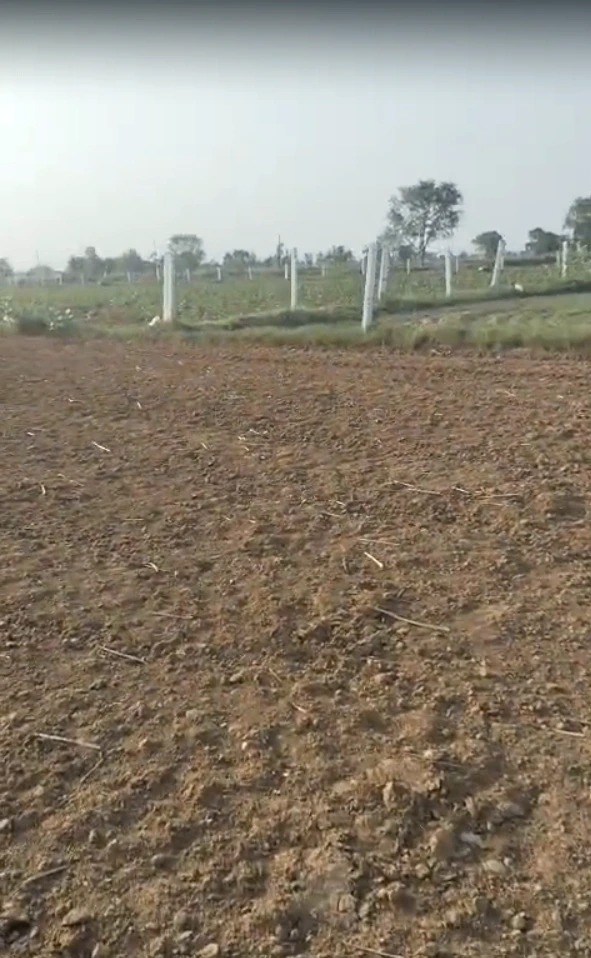 J3MV+7CV, Dantri, Rajasthan 303008, India