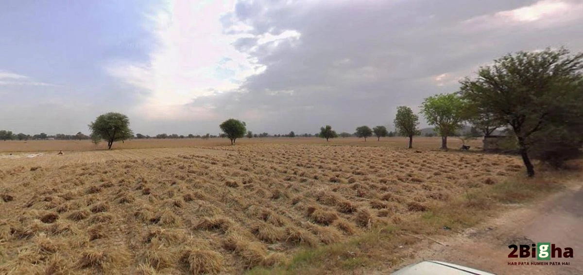Bapoli, Haryana 134202, India