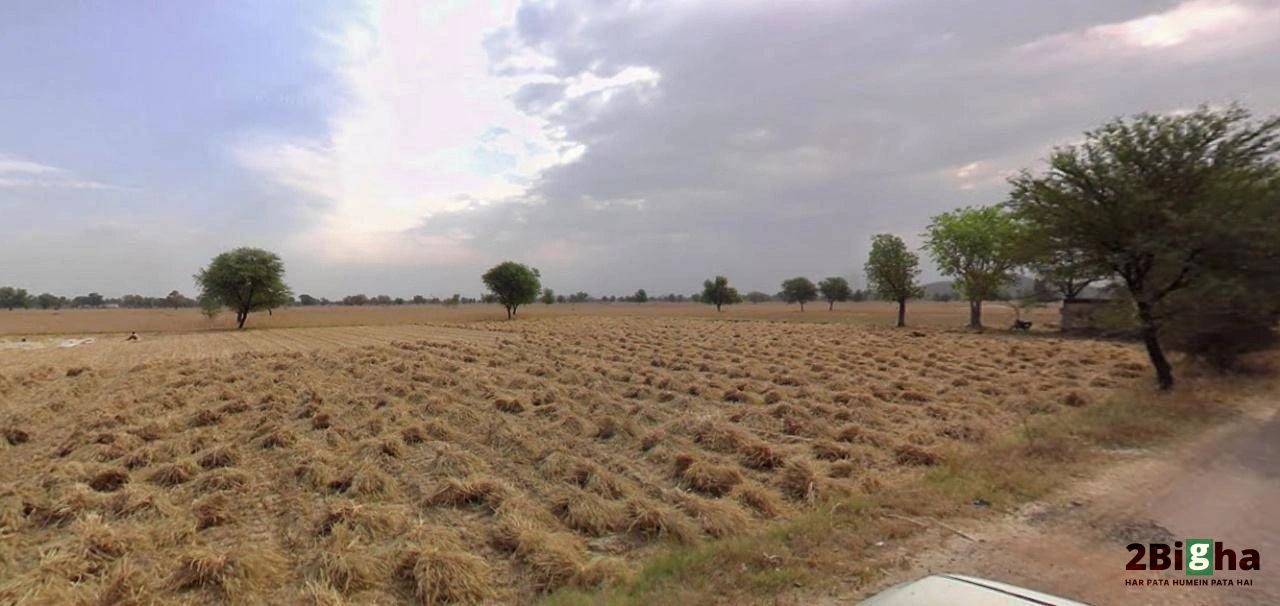Bapoli, Haryana 134202, India