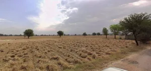 Bapoli, Haryana 134202, India preview 2