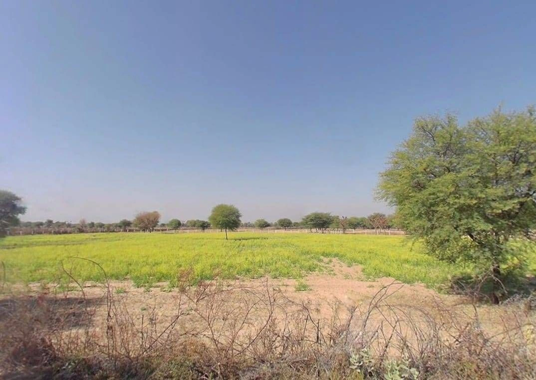 RCWJ+Q2 Kot Jewar, Rajasthan, India