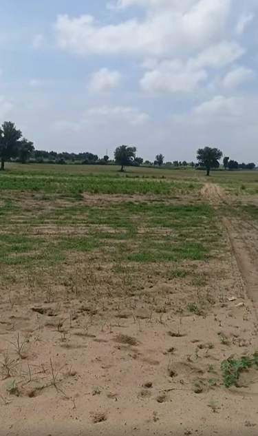 PPFQ+PFV, Mathura, Tentigaon, Uttar Pradesh 281202, India