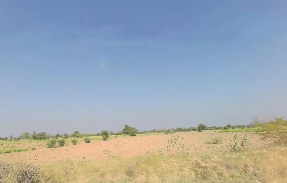 954, आम चोराया बान्डाई, बंदी, राजस्थान 306421, India