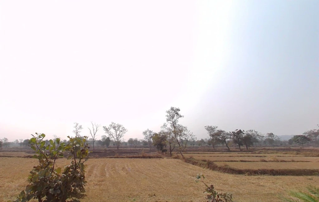 Odka, Chhattisgarh 493441, India