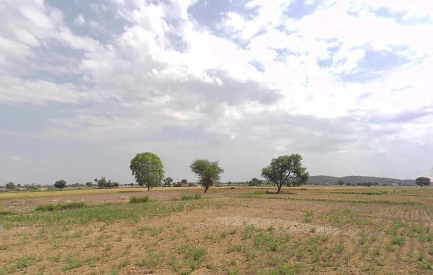 JRPX+75 Beejwa, Rajasthan, India