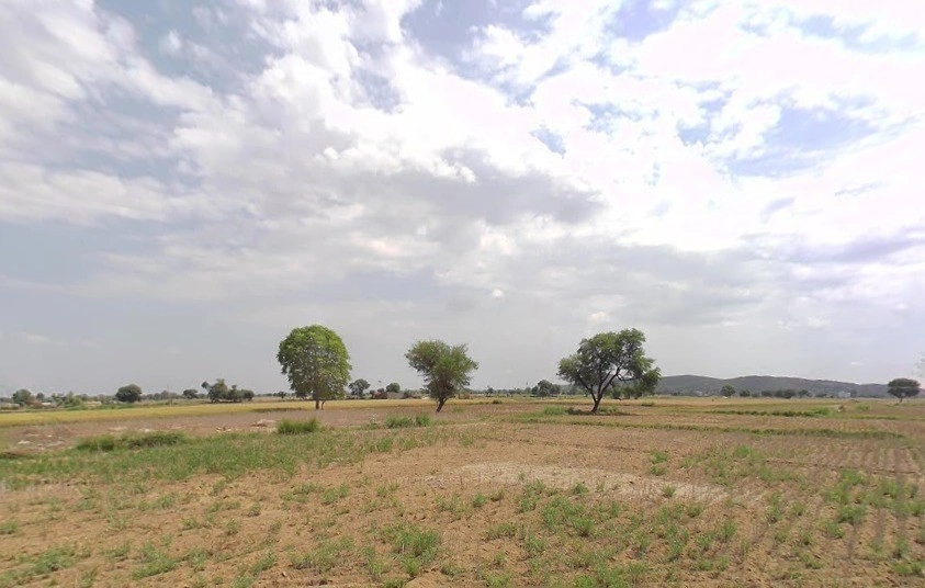 JRPX+75 Beejwa, Rajasthan, India