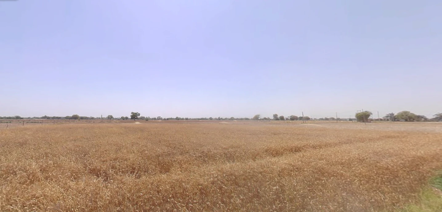 Hansalpur, Gujarat 382150, India