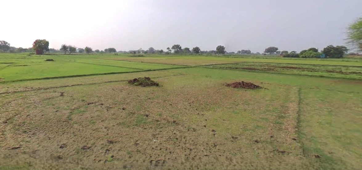 Chandla, Madhya Pradesh 471525, India