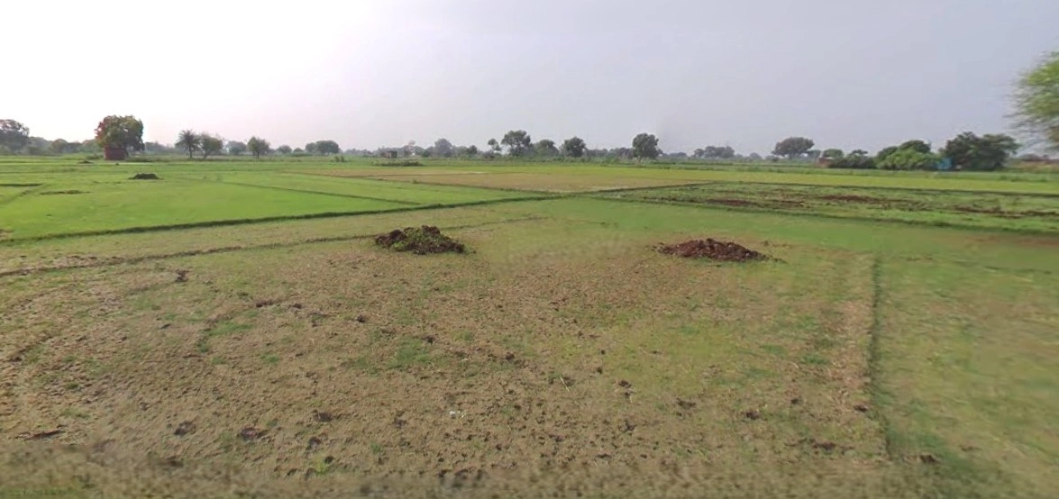 Chandla, Madhya Pradesh 471525, India