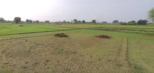Chandla, Madhya Pradesh 471525, India preview 2