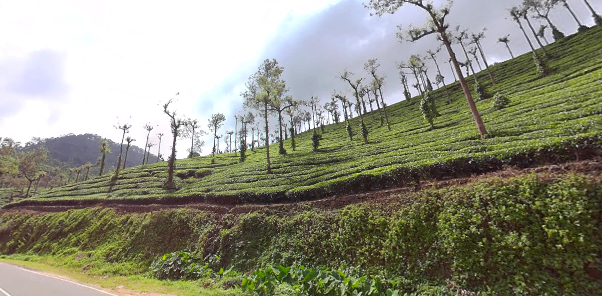 Kumily, Kerala, India