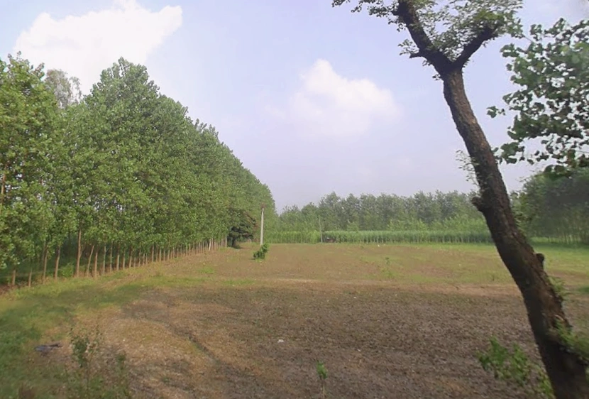 Mata Shakumbhari Devi Rd, Madhav Nagar, Saharanpur, Uttar Pradesh, India